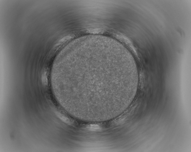X0000111010114200907311059