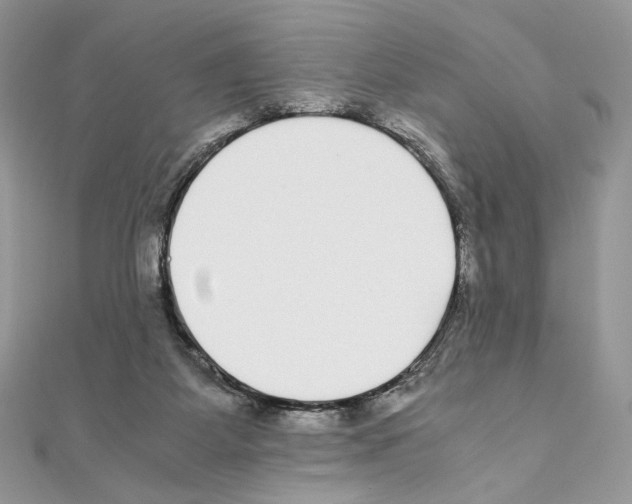 X0000111010115200907311059