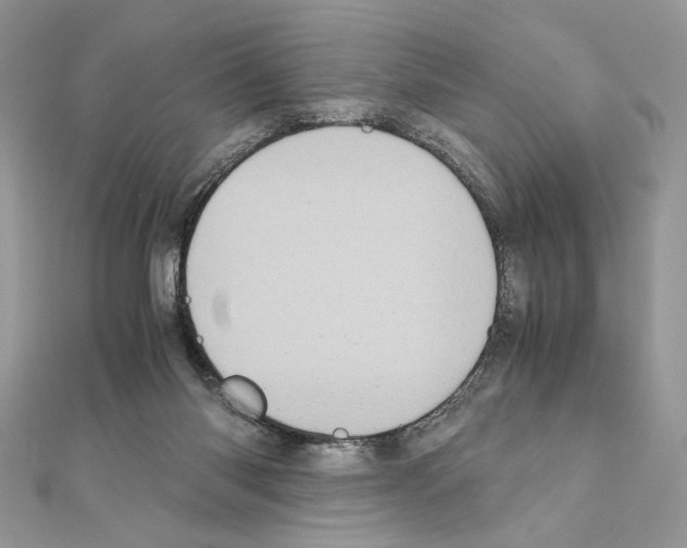 X0000111010118200907311059