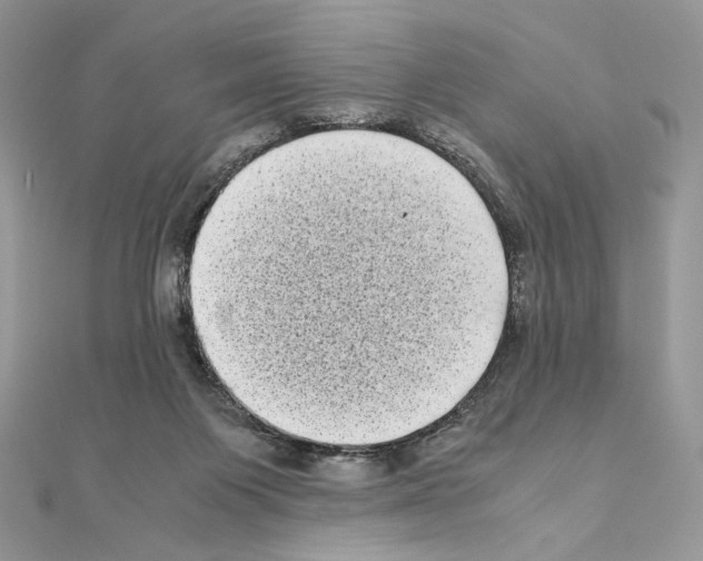 X0000111010119200907311059