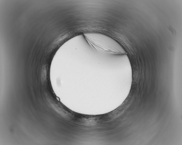 X0000111010120200907311059