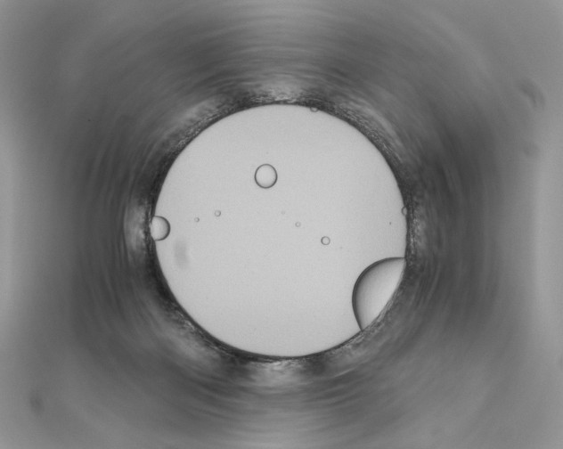 X0000111010122200907311059
