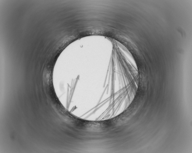 X0000111010123200907311059