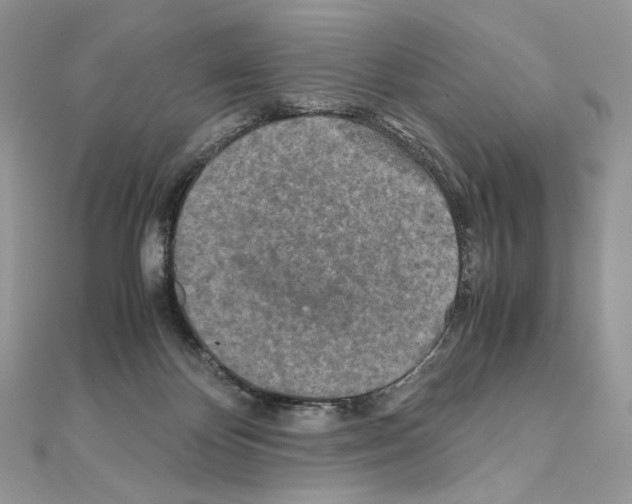X0000111010124200907311059