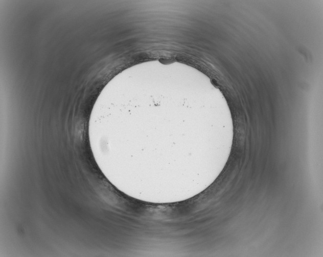 X0000111010125200907311059