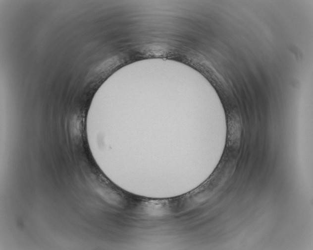 X0000111010126200907311059