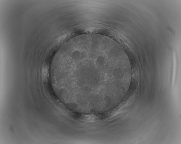 X0000111010127200907311059