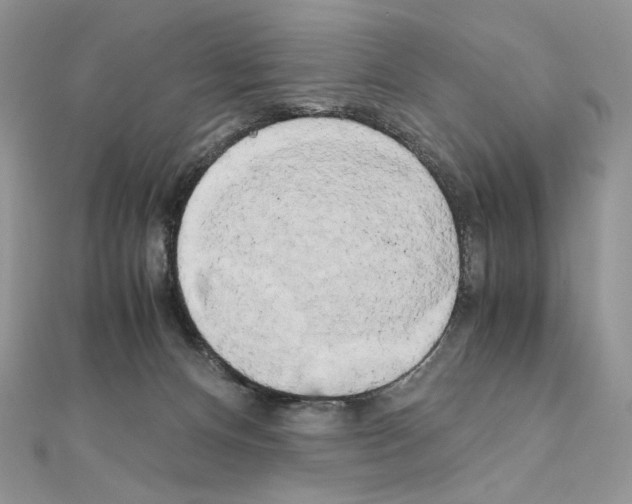 X0000111010128200907311059
