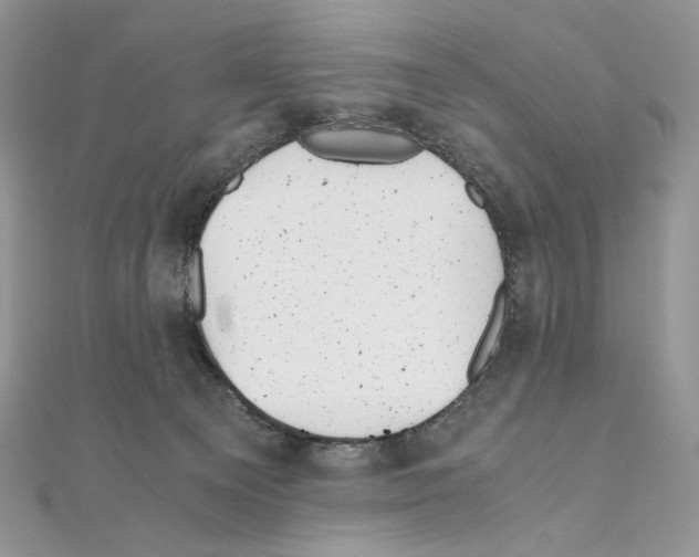 X0000111010129200907311059