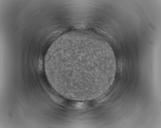 X0000111010130200907311059