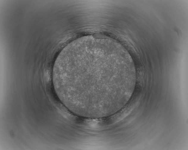 X0000111010131200907311059