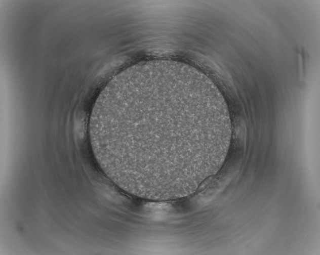 X0000111010133200907311059