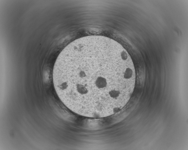X0000111010134200907311059