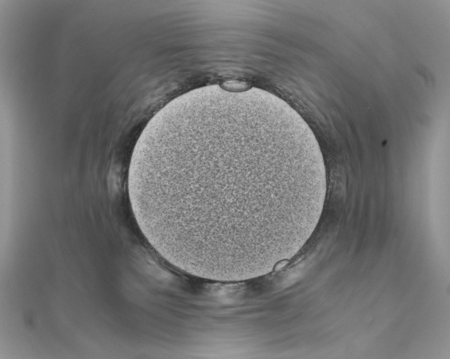 X0000111010135200907311059
