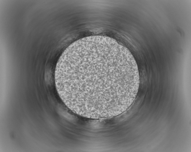 X0000111010136200907311059