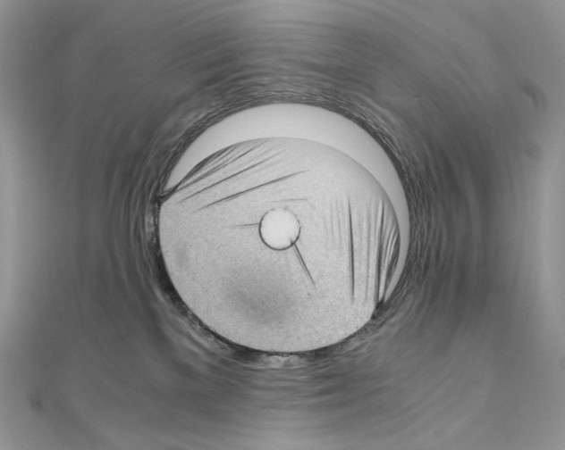 X0000111010137200907311059