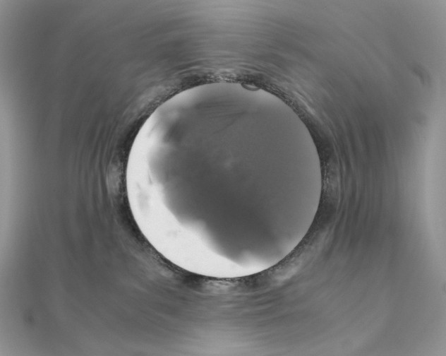 X0000111010139200907311059