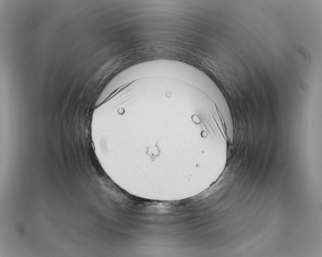 X0000111010140200907311059