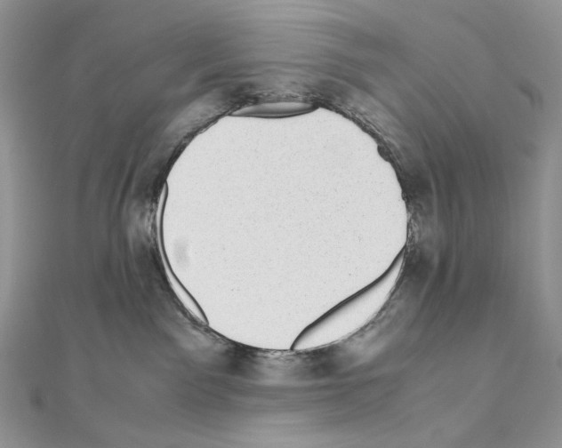X0000111010141200907311059