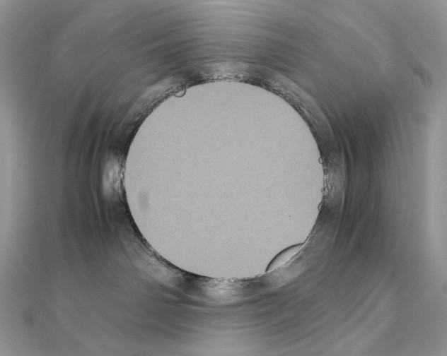 X0000111010142200907311059