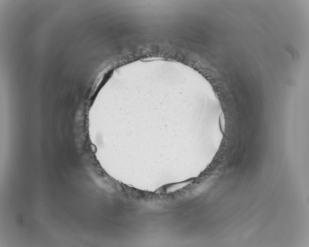 X0000111010144200907311059