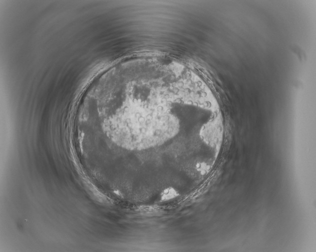 X0000111010145200907311058