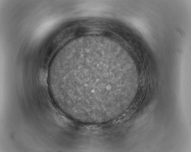 X0000111010146200907311058