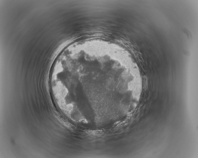 X0000111010147200907311058