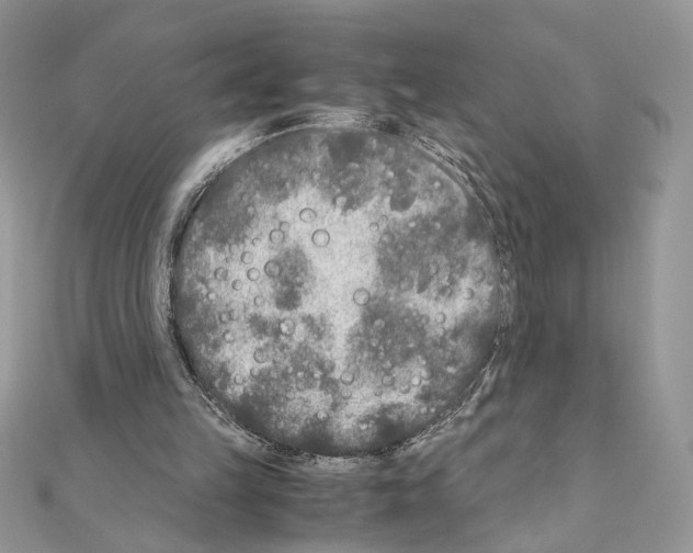 X0000111010149200907311058