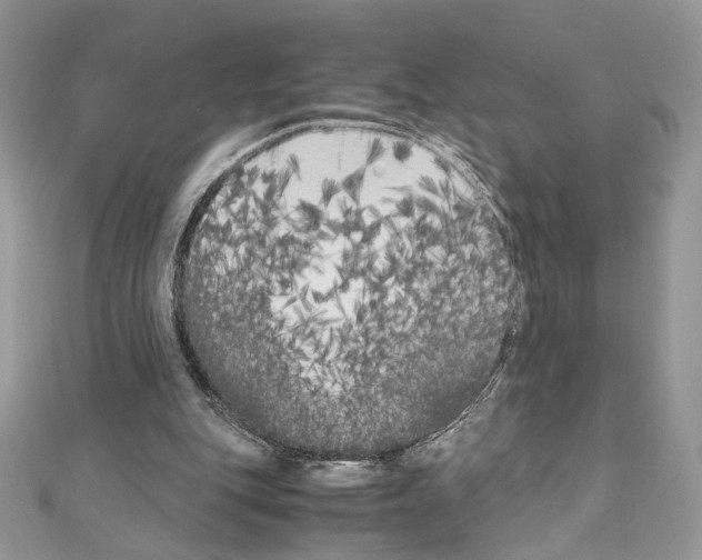 X0000111010151200907311058
