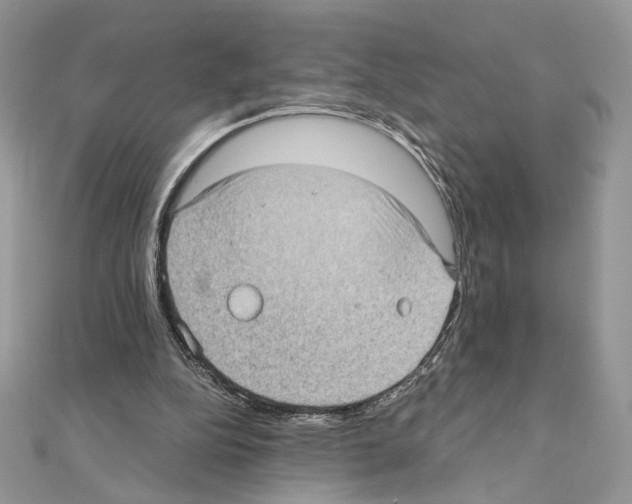 X0000111010152200907311058