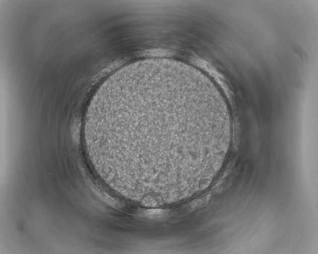 X0000111010153200907311058
