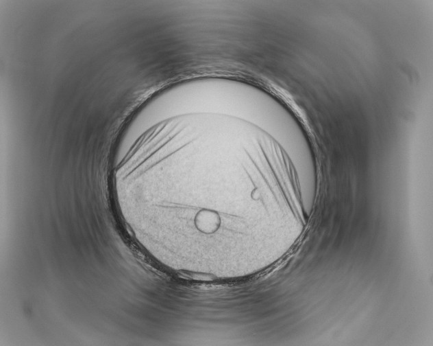 X0000111010154200907311058
