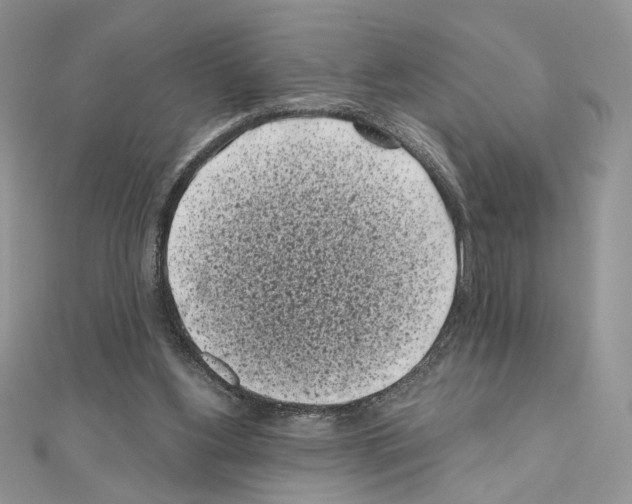 X0000111010156200907311058