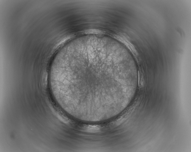 X0000111010157200907311058