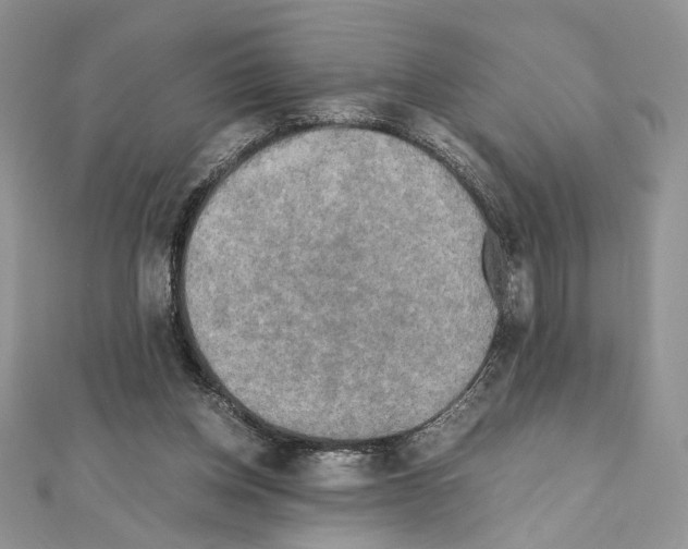 X0000111010158200907311059
