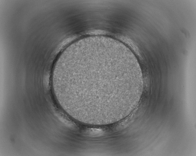 X0000111010159200907311059