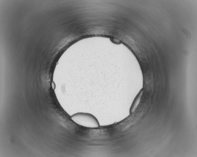 X0000111010160200907311059