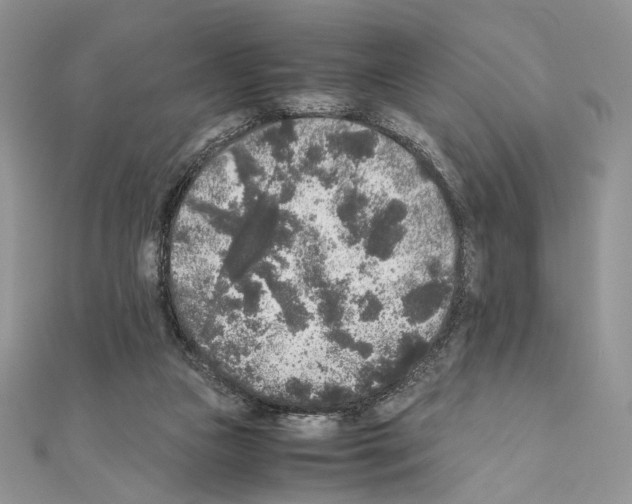X0000111010161200907311059