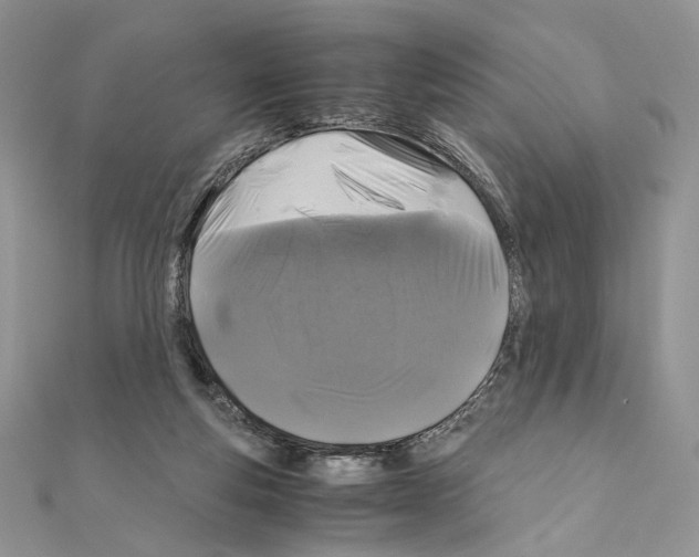 X0000111010163200907311059
