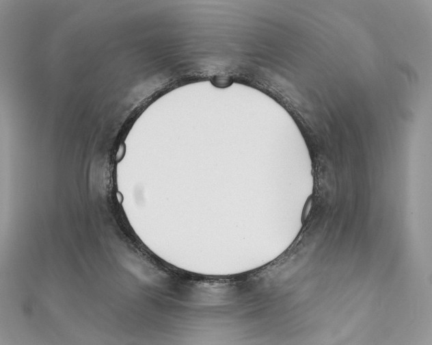 X0000111010164200907311059