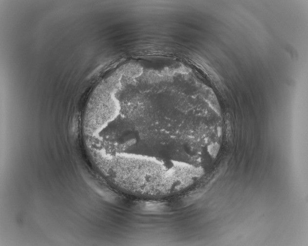 X0000111010165200907311059