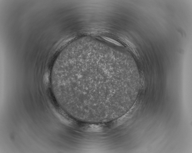 X0000111010166200907311059