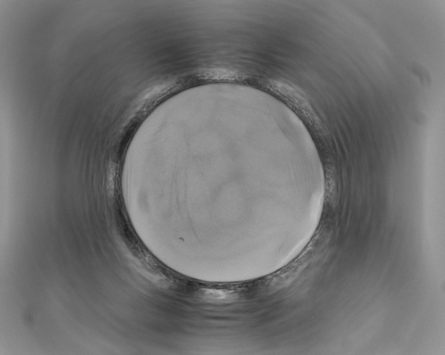 X0000111010167200907311059