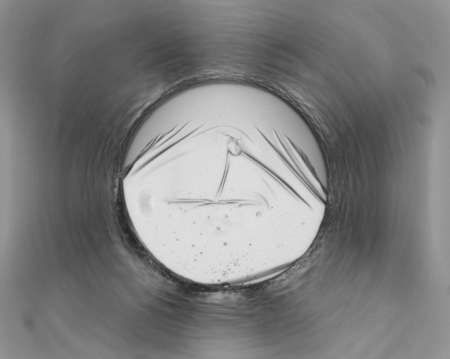 X0000111010168200907311059