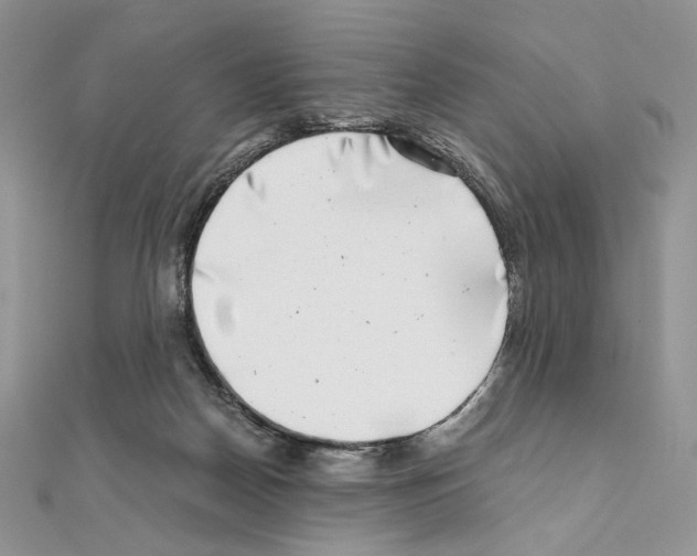X0000111010170200907311059