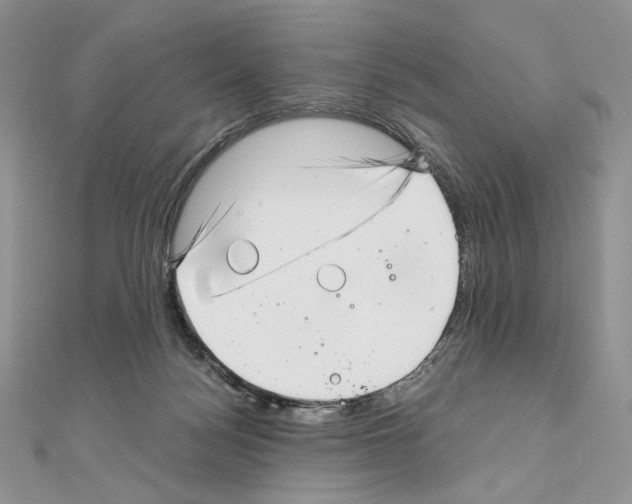 X0000111010172200907311059