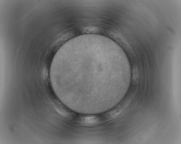 X0000111010173200907311059