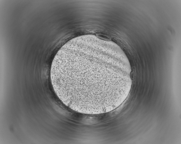 X0000111010174200907311059