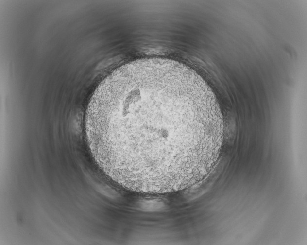 X0000111010175200907311059
